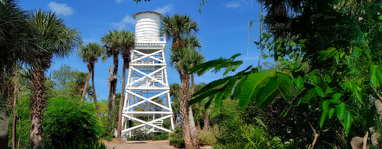 Cabbage-Key-Island-Offers-an-Authentic-Florida-Experience