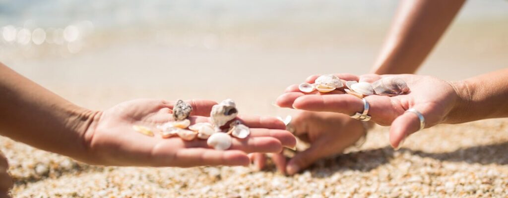 Little-Known-Facts-About-Captiva-Island-Shells