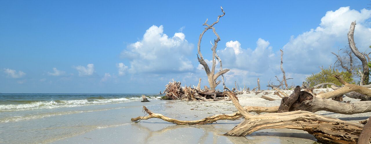 how-to-plan-a-cayo-costa-state-park-adventure-hero
