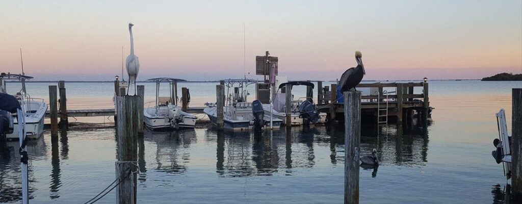north-captiva-water-taxi-tips-and-tricks